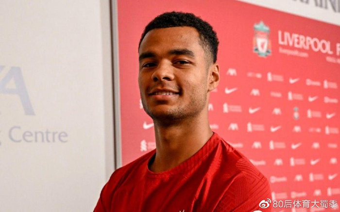 集锦的上半 集锦的上半